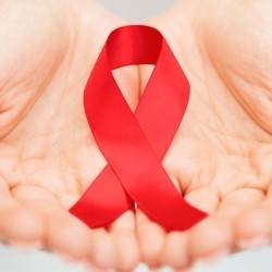 1cef b240 4262210d072f